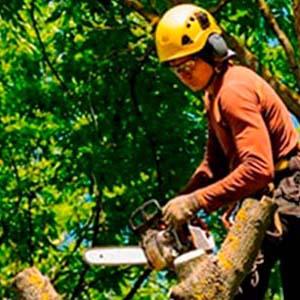 Laudo Técnico Em Cachoeirinha